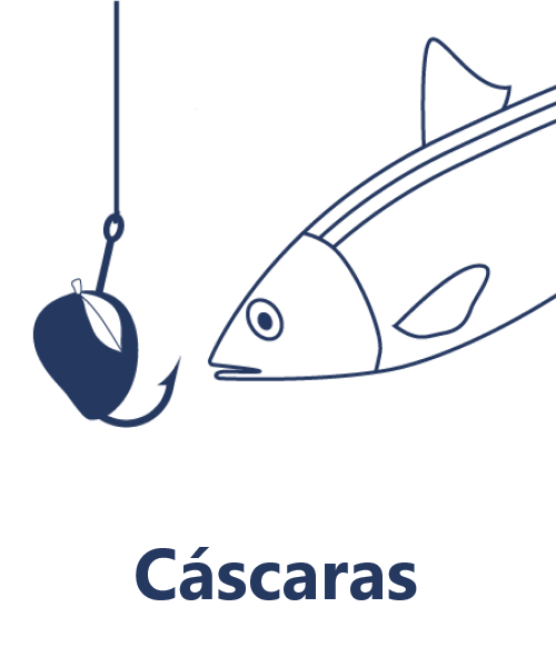 Cáscaras