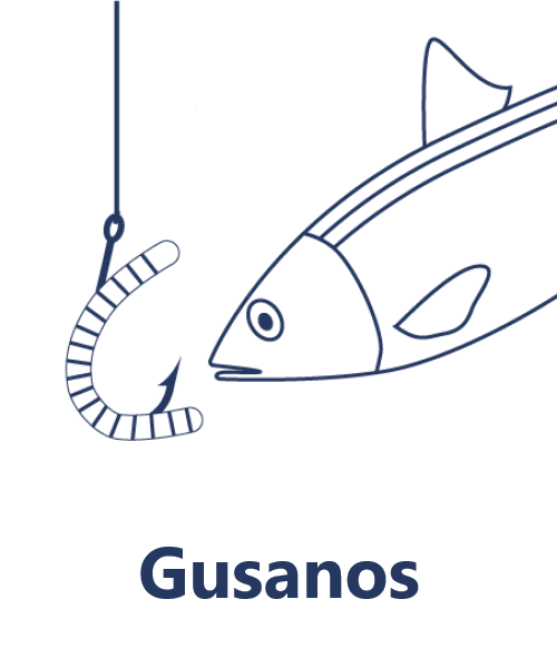 Gusanos