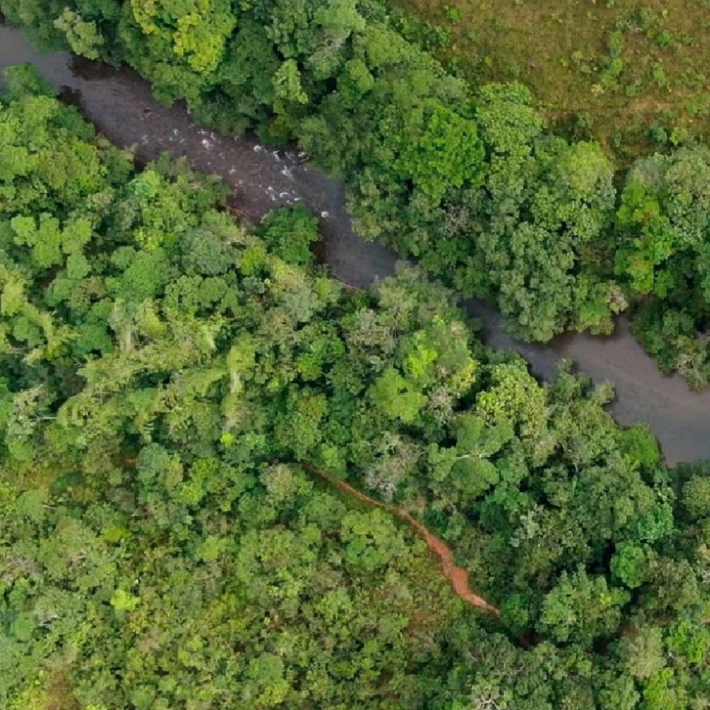 Comunidad Puerto Naranjo